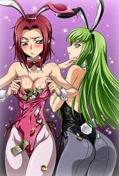 【画像】ルルーシュ「おっぱいのカレン、ケツのC.C.、バブみのアーニャ、性格のシャーリー、か…」