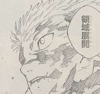 【画像】虎杖、ついに領域展開ｗｗｗｗｗｗｗｗ
