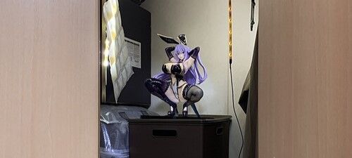 【画像】母親にバレないように押し入れにフィギュア飾ってるけどｗｗｗｗｗ